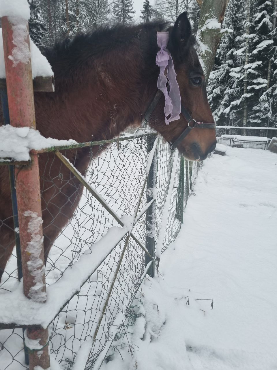 photo 5397761035164389073 y